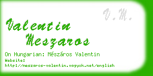 valentin meszaros business card